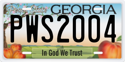 GA license plate PWS2004