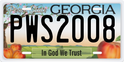 GA license plate PWS2008