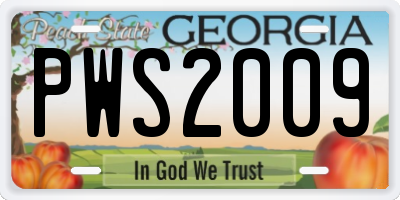 GA license plate PWS2009