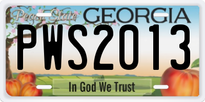 GA license plate PWS2013