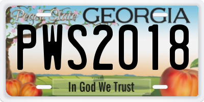GA license plate PWS2018