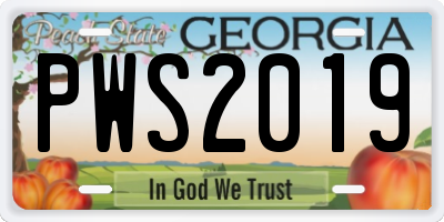 GA license plate PWS2019