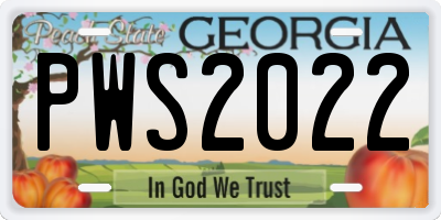 GA license plate PWS2022