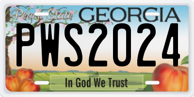 GA license plate PWS2024
