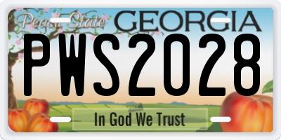 GA license plate PWS2028