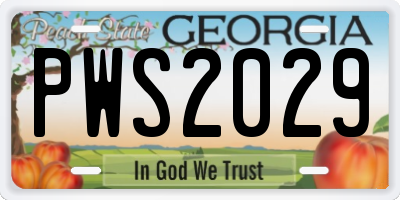 GA license plate PWS2029