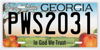 GA license plate PWS2031