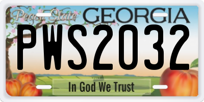 GA license plate PWS2032