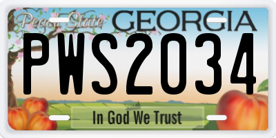 GA license plate PWS2034