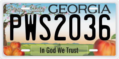 GA license plate PWS2036