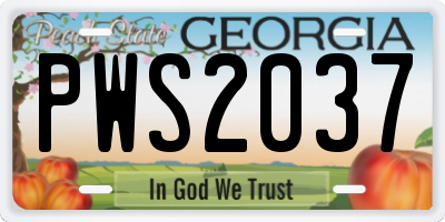 GA license plate PWS2037