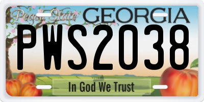 GA license plate PWS2038