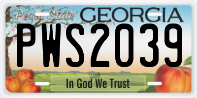 GA license plate PWS2039