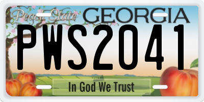 GA license plate PWS2041