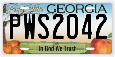 GA license plate PWS2042