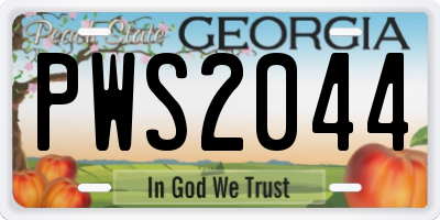GA license plate PWS2044