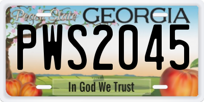 GA license plate PWS2045