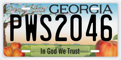 GA license plate PWS2046