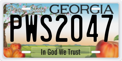 GA license plate PWS2047