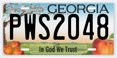 GA license plate PWS2048