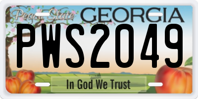 GA license plate PWS2049
