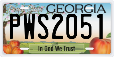 GA license plate PWS2051