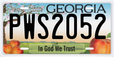 GA license plate PWS2052