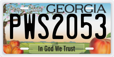 GA license plate PWS2053