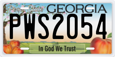 GA license plate PWS2054