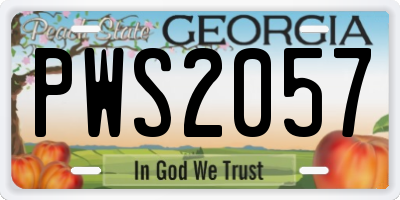 GA license plate PWS2057
