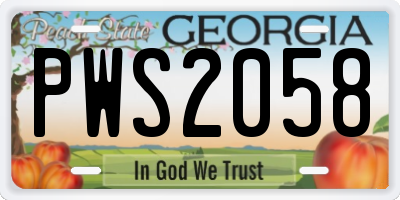 GA license plate PWS2058