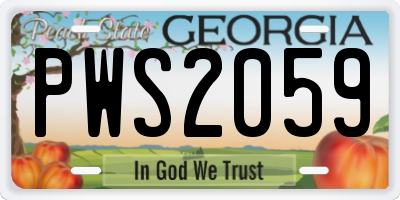 GA license plate PWS2059