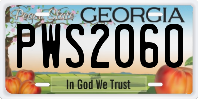 GA license plate PWS2060