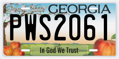 GA license plate PWS2061