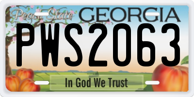 GA license plate PWS2063