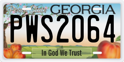 GA license plate PWS2064