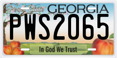 GA license plate PWS2065