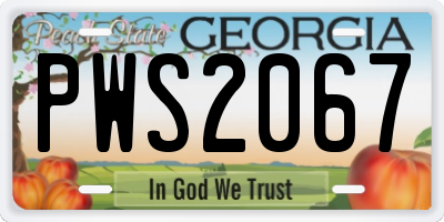 GA license plate PWS2067