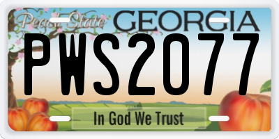 GA license plate PWS2077