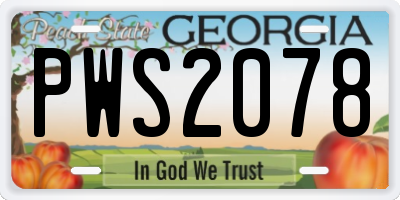 GA license plate PWS2078