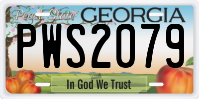 GA license plate PWS2079