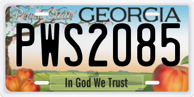 GA license plate PWS2085