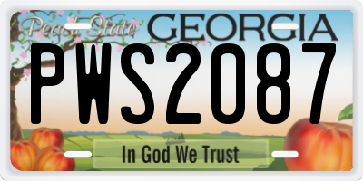 GA license plate PWS2087