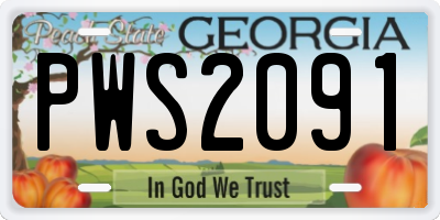 GA license plate PWS2091
