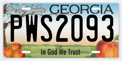 GA license plate PWS2093