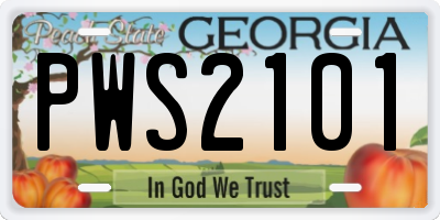 GA license plate PWS2101