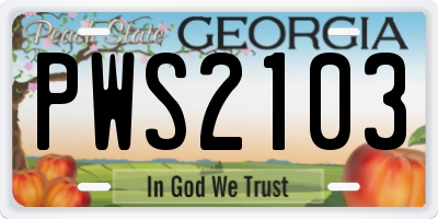 GA license plate PWS2103
