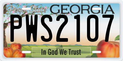 GA license plate PWS2107