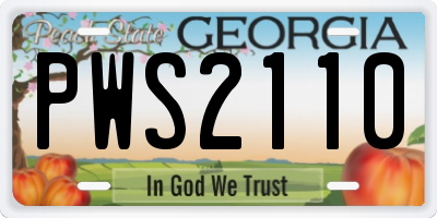 GA license plate PWS2110