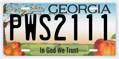 GA license plate PWS2111